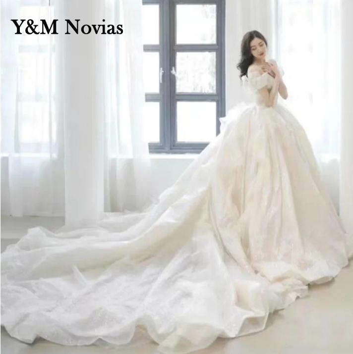 Abito da sposa taglia comoda in pizzo 2023 con maniche, lussuoso treno, colore brillante francese, scollatura a barchetta